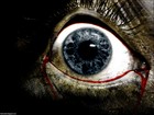 Picture for song 'Change Sight' by artist 'H-Heat'