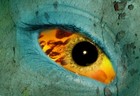 Picture for song 'New Beast' by artist 'Higher Than Pope'