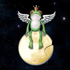 Picture for song 'The Traveller' by artist 'Homeless Balloon'