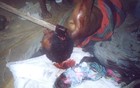 Picture for song 'Killing Spree' by artist 'Homicide Projekt Mixtape'