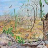 Picture for song 'Hinterland' by artist 'HotSpot Project'