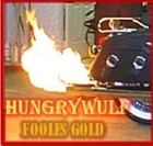 Picture for song 'Fooles Gold' by artist 'HungryWulf'