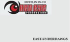 Picture for song 'Liar (demo)' by artist 'hustlin in-corporation'