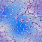 Picture for song 'Home The Live and Drunk Performance' by artist 'hype and the Hollywood Church'