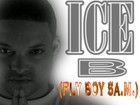 Picture for song 'Ice-Blood (Fly boy 5AM)' by artist 'Ice-Blood'