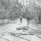 Picture for song 'Casco Rock Walls' by artist 'Indian Blood'