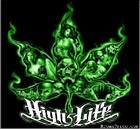 Picture for song 'Smokin N' Thinkin' by artist 'Instru-Mental Productions'