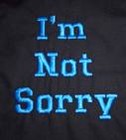 Picture for song 'Im Not Sorry!Hiphop/Rnb!!' by artist 'Chaotic Melody'