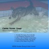 Picture for song 'The Reluctant Water Dog' by artist 'ipse Heather'