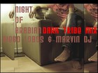 Picture for song 'night of arabian (dark tribe mix) diego lobos' by artist 'jacko AKA marvin dj'