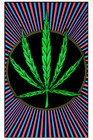 Picture for song 'High Times' by artist 'Jae 0ne'