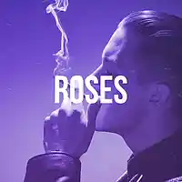 Picture for song 'Roses' by artist 'Jake Mark Music'