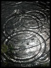 Picture for song 'Black Rain' by artist 'Jammin Jody Lee'