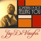 Picture for song 'Something I'm Not Telling You' by artist 'Jay M DeVaughn'