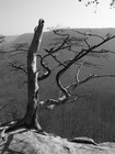 Picture for song 'The Winds of Ebow' by artist 'Jeremy Kennemur'