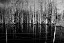 Picture for song 'Black Water' by artist 'Jinn Mustaffa'