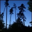 Picture for song 'The pageant of gnomes' by artist 'Jiri Hajek - composer'