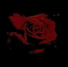 Picture for song 'Beat 42 - In memory of Denise' by artist 'Jish productions'