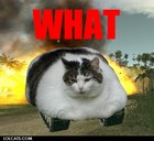 Picture for song 'Messin' around, gangster!' by artist 'JMD Demos'