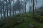Picture for song 'Fog on the Moor' by artist 'Joe Hill'