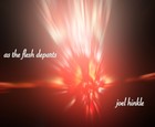 Picture for song 'insectarium' by artist 'joel hinkle'