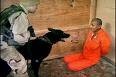 Picture for song 'Guantanamo (Executive Privilege)' by artist 'joe solo'
