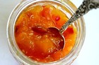 Picture for song 'Mango Chutneyed' by artist 'joe solo'