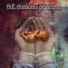 Picture for song 'thE.thinkinG.principlE A NIHILISTIC' by artist 'John Knight Vocalist'