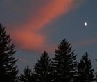 Picture for song 'What Does Christmas Mean?' by artist 'John Robert Whitney'