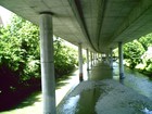 Picture for song 'green at all' by artist 'jon5roy'