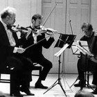 Picture for song 'Cooperative String Quartet' by artist 'Jon Howie'