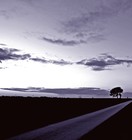 Picture for song 'Carry You' by artist 'Jonothan'