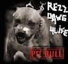 Picture for song 'a dawgz life' by artist 'jr8819'