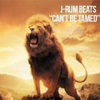 Picture for song '*NEW* - Can't Be Tamed *Cinematic/Trailer* 120bpm' by artist 'Jrum Beats'