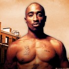 Picture for song 'BACK IN THE DAY .:::. :FREE:' by artist 'JulianBeats'