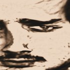 Picture for song 'Genno' by artist 'Kadir Delirmez'