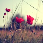 Picture for song 'PERFECT (Free D/L)' by artist 'kamillabeats'