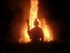 Picture for song 'Into the Fire' by artist 'Kennyken and The Electric Jesus'