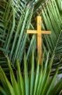 Picture for song 'Chorusorgan: Raise the Palm Leaves HIgh' by artist 'KE Peace (USA)'