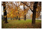 Picture for song 'Melancholic Autumn' by artist 'Klaatu (CT)'