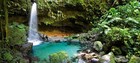 Picture for song 'Rainforest Lament' by artist 'Klaatu (CT)'