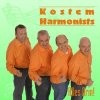 Picture for song 'Weil ich en Kostmer bin!' by artist 'Kostem Harmonists'