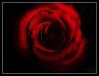 Picture for song 'You'll Never Know' by artist 'Kurt Lewis Neufer'