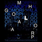 Picture for song 'Skyline' by artist 'Lagomorpha'