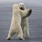 Picture for song 'Will You Teach Me How To Waltz' by artist 'Larry Whitler'