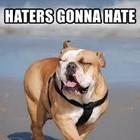 Picture for song 'Hate me moore (Free download)' by artist 'Last Phase Productions'