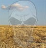 Picture for song 'Hesitation' by artist 'LaughingSkull'