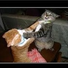 Picture for song 'Epic Battle' by artist 'Legit The Producer'