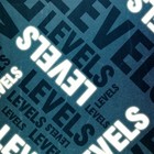 Picture for song 'What You Do To Me' by artist 'Levels (IRE)'