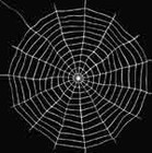 Picture for song 'Spiders Web Remix' by artist 'Lightning Styles'